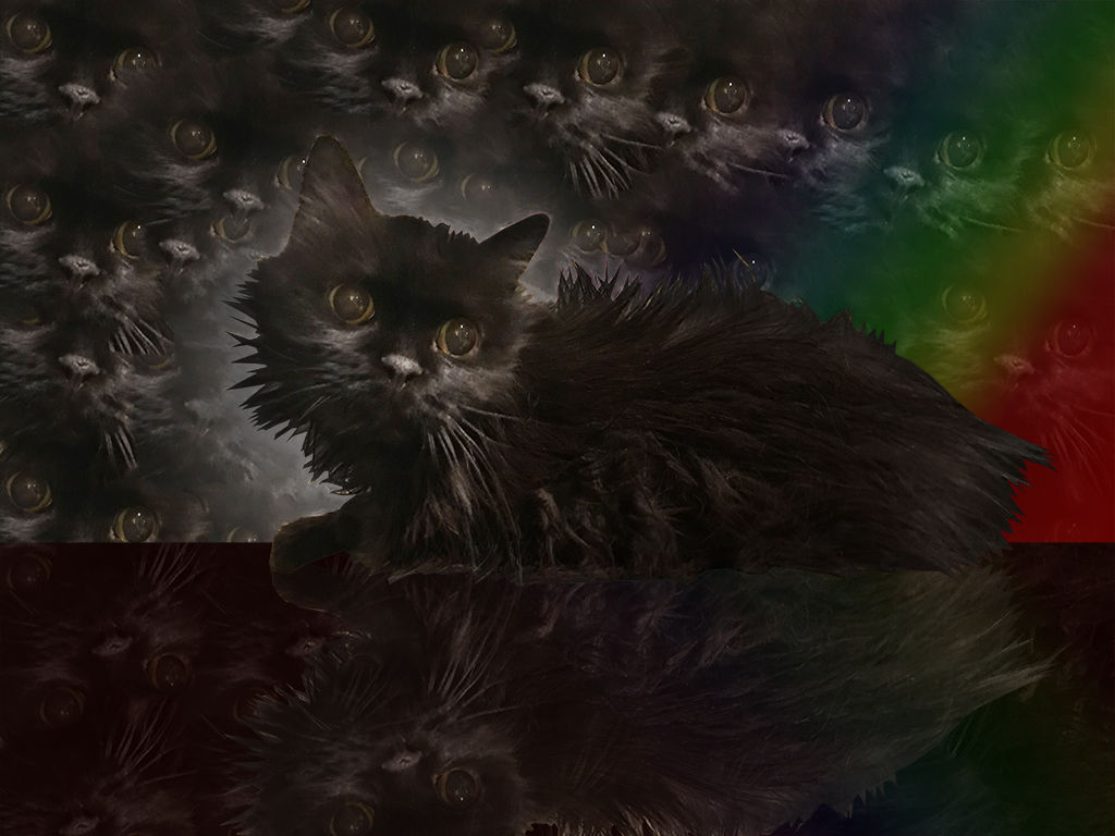 2234097.jpg
